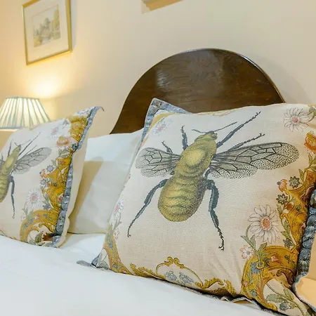 Seaton Court - Uk31955 Prázdninový dům